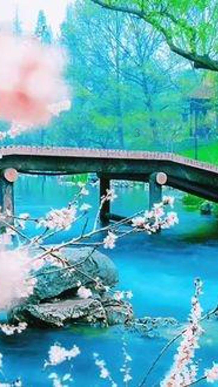 南怀瑾讲为什么不要轻易学佛和易经-在线问答交流平台